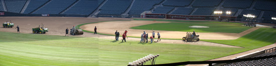 11a - Chase Field infield and grass laying.jpg